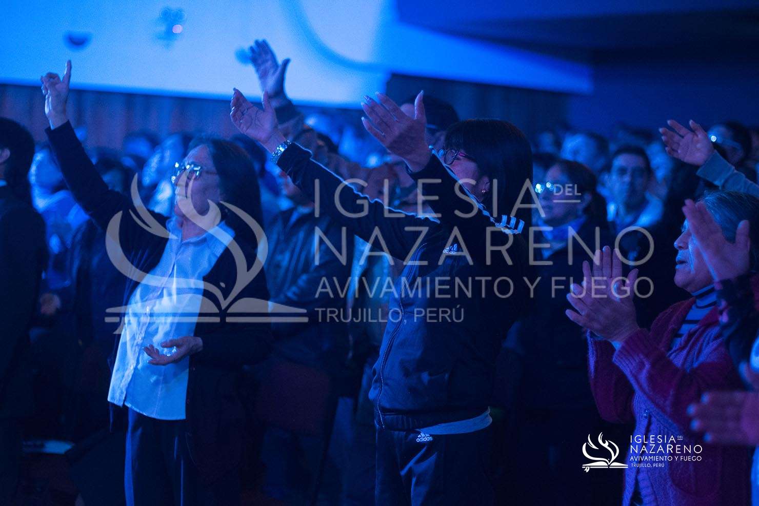 Noche de Milagros