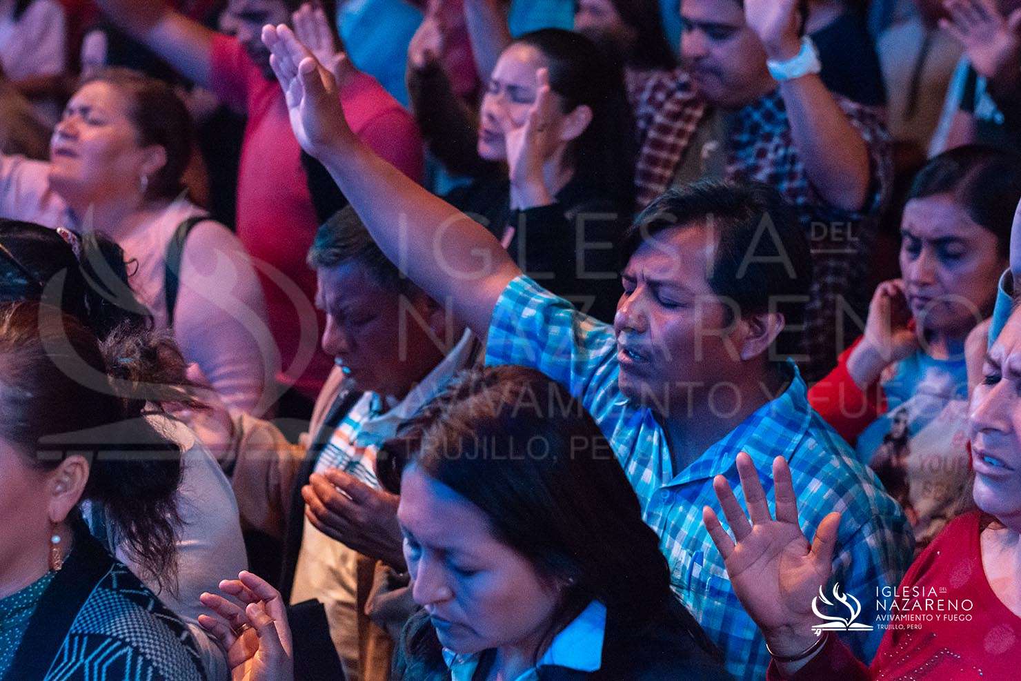 Noche de Milagros