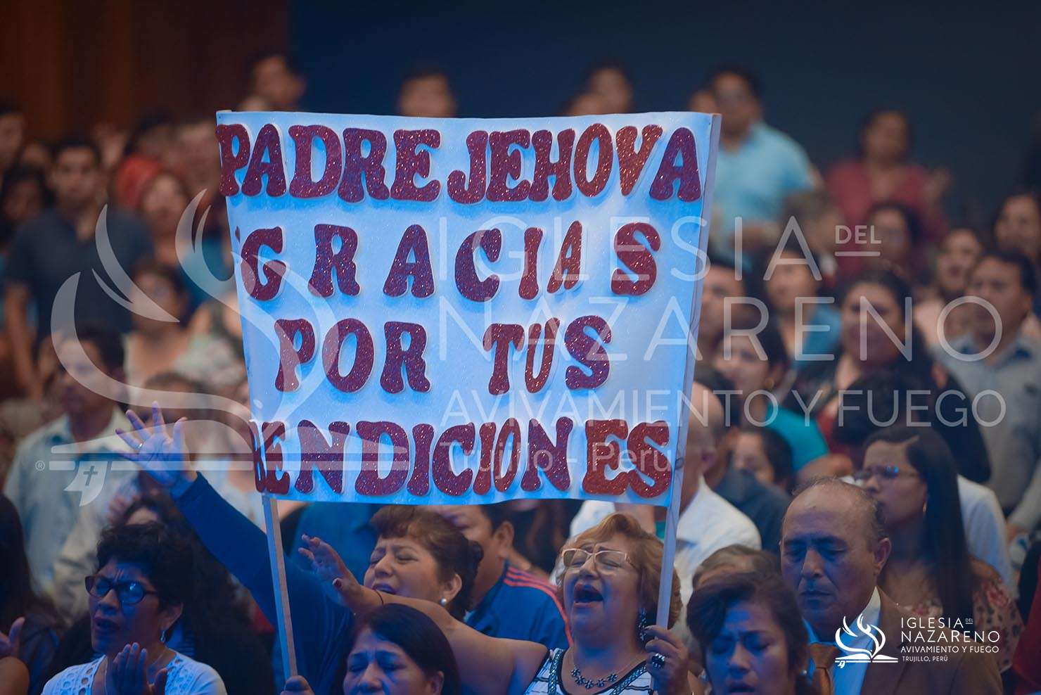 Acci&oacute;n de Gracias