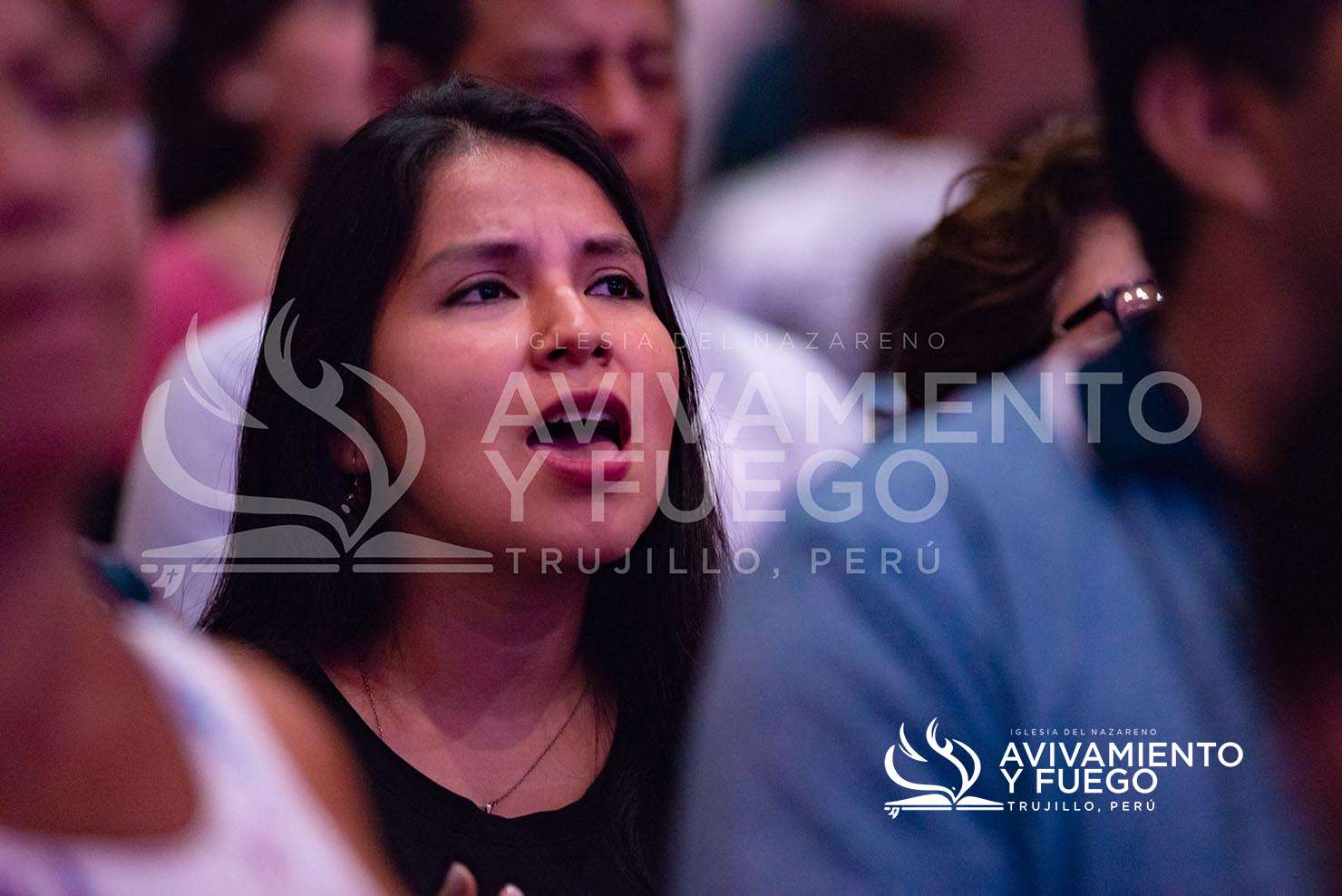 Noche de Milagros